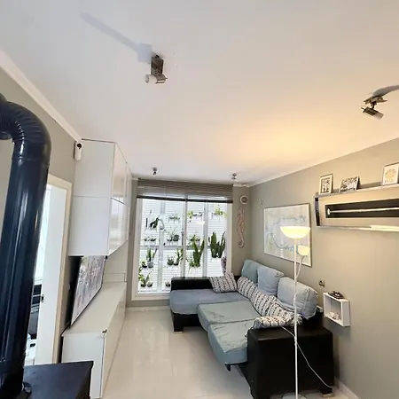 Atico Con Solarium En Pedregalejo